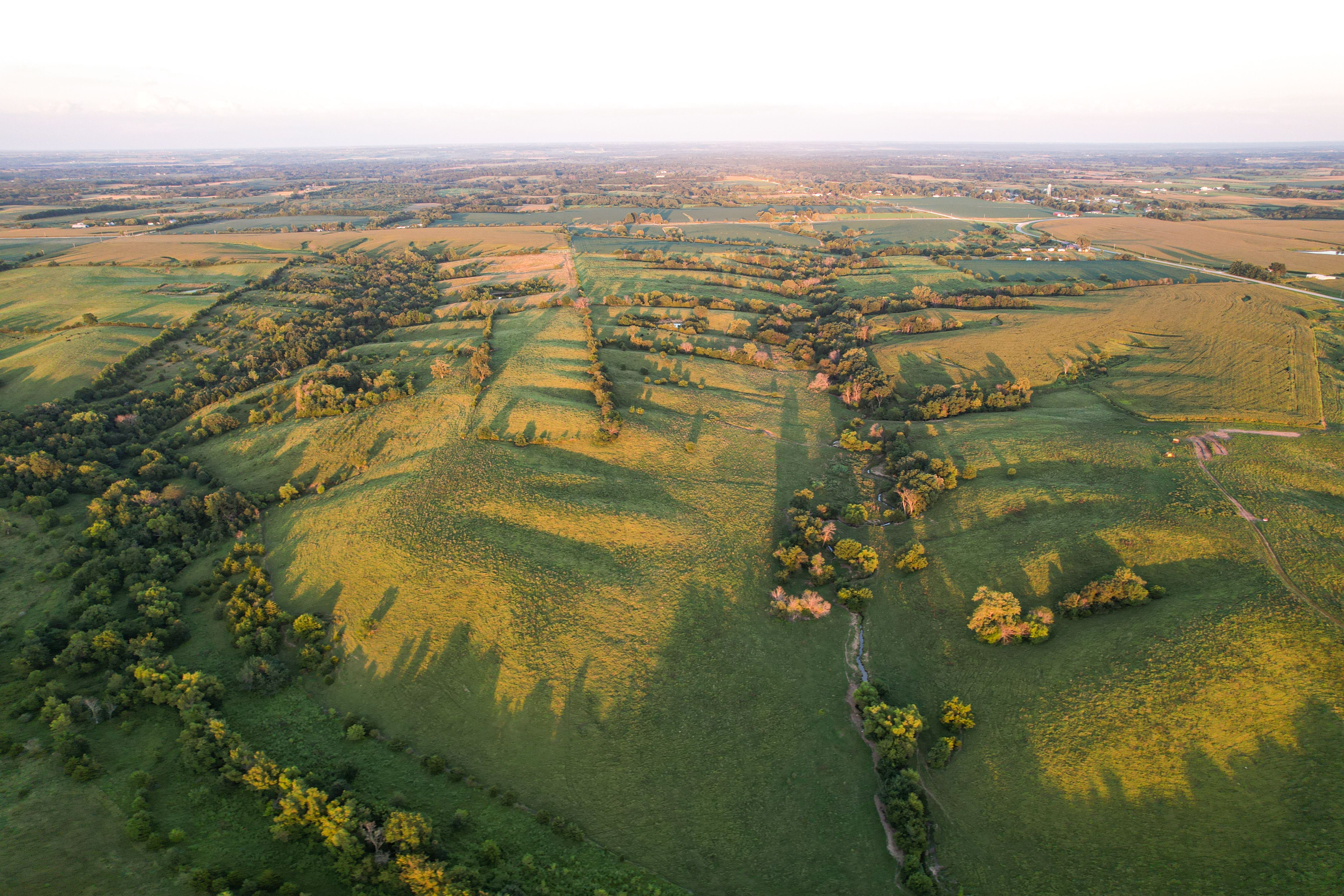 Listing Photo: Photo Aug 20 2025, 7 42 44 PM